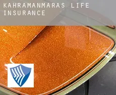 Kahramanmaraş  life insurance