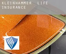 Kleinhammer  life insurance