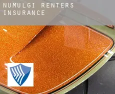 Numulgi  renters insurance