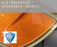 Old Mountain  insurance agents