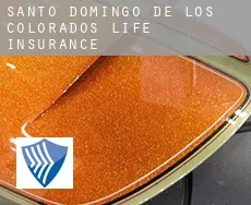 Santo Domingo de los Colorados  life insurance