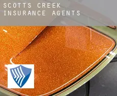 Scotts Creek  insurance agents