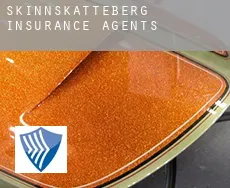 Skinnskatteberg Municipality insurance agents