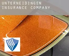 Unterneidingen  insurance company