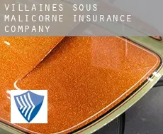 Villaines-sous-Malicorne  insurance company