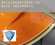Wellinghoferheide  auto insurance