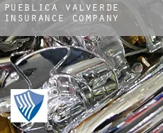 Pueblica de Valverde  insurance company