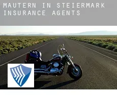 Mautern in Steiermark  insurance agents