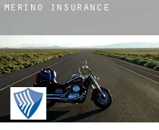 Merino  insurance