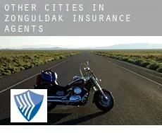 Other cities in Zonguldak  insurance agents