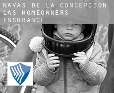 Navas de la Concepción (Las) homeowners insurance