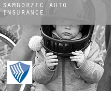 Samborzec  auto insurance