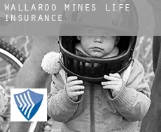 Wallaroo Mines  life insurance
