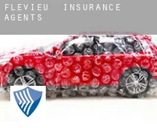 Flevieu  insurance agents