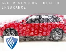 Groß Wesenberg  health insurance