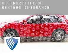 Kleinbrettheim  renters insurance