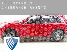 Kleinpinning  insurance agents
