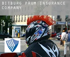 Bitburg-Prüm Landkreis  insurance company