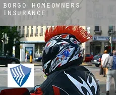 Borgo  homeowners insurance