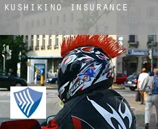 Kushikino  insurance