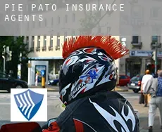 Pié de Pató  insurance agents