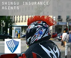 Shingū  insurance agents