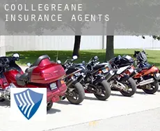 Coollegreane  insurance agents