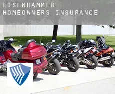 Eisenhammer  homeowners insurance