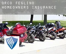 Orco Feglino  homeowners insurance