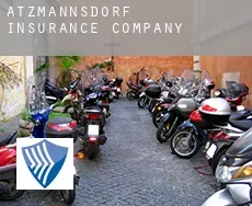 Atzmannsdorf  insurance company
