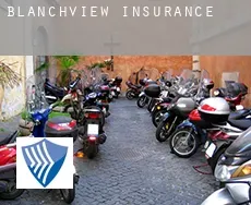 Blanchview  insurance