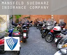 Mansfeld-Südharz  insurance company
