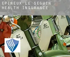 Épineux-le-Seguin  health insurance