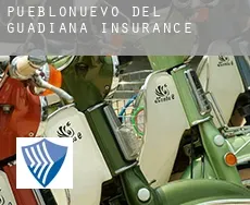 Pueblonuevo del Guadiana  insurance