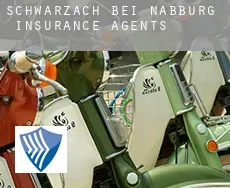 Schwarzach bei Nabburg  insurance agents
