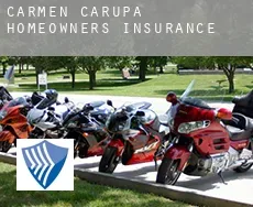 Carmen de Carupa  homeowners insurance