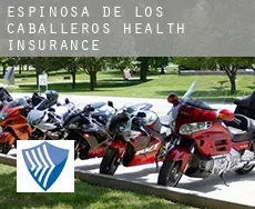 Espinosa de los Caballeros health insurance