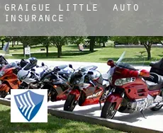 Graigue Little  auto insurance