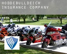 Hoddebülldeich  insurance company