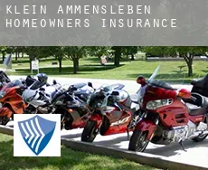 Klein Ammensleben  homeowners insurance