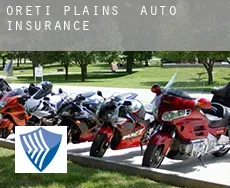 Oreti Plains  auto insurance