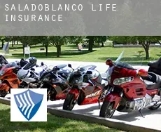 Saladoblanco  life insurance
