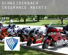 Schneidenbach  insurance agents