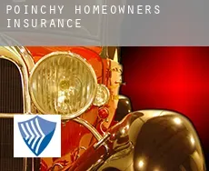 Poinchy homeowners insurance
