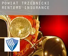 Powiat trzebnicki  renters insurance