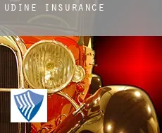 Provincia di Udine  insurance