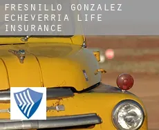 Fresnillo de González Echeverría  life insurance