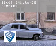 Escot insurance company