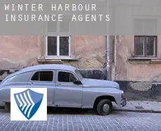 Winter Harbour  insurance agents