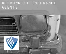 Bobrowniki  insurance agents